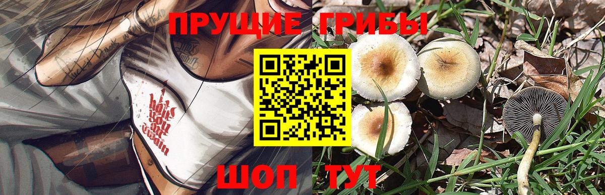 купить закладку  Галлюциногенные грибы прущие грибы  Вход с VPN  Ковров 